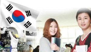 học ngành gì dễ xin việc ở hàn quốc