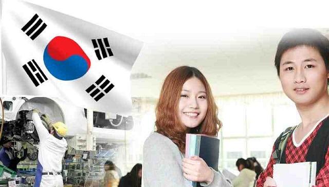 học ngành gì dễ xin việc ở hàn quốc