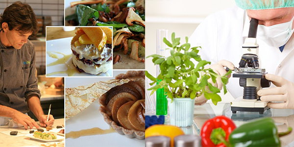 ngành công nghệ thực phẩm xu hướng nghề nghiệp